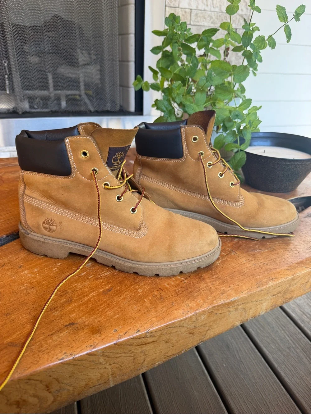 Timberland Youth Classic Wheat Nubuck 6-Inch Waterproof Boot